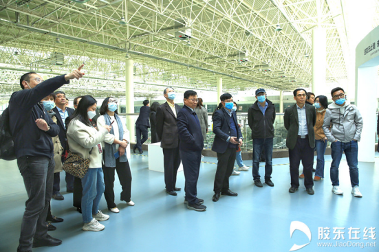 百年张裕酝酿千种风味 “2艘航母”联袂起航再立潮头