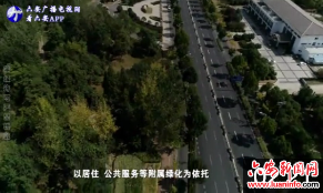 加强园林精细化管理提升城市绿化品位 