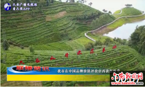 我市在中国品牌价值评价中再获新殊荣