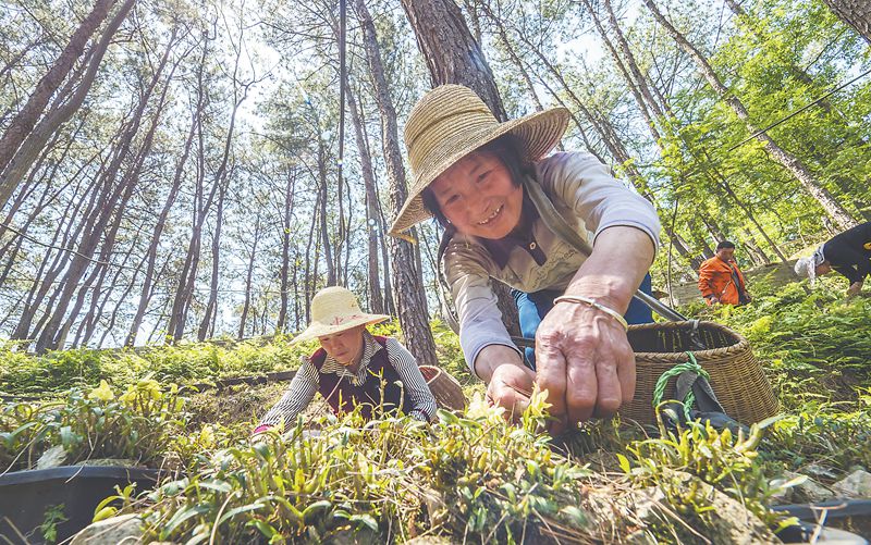 深入推进皖西大别山革命老区振兴发展