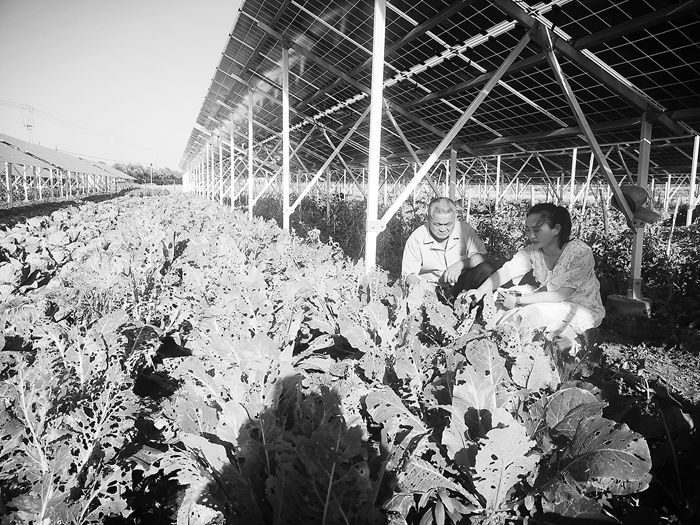 【榜样】90后扶贫队长卢毅