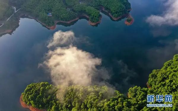 仲夏佛子岭 云游山水间 图片