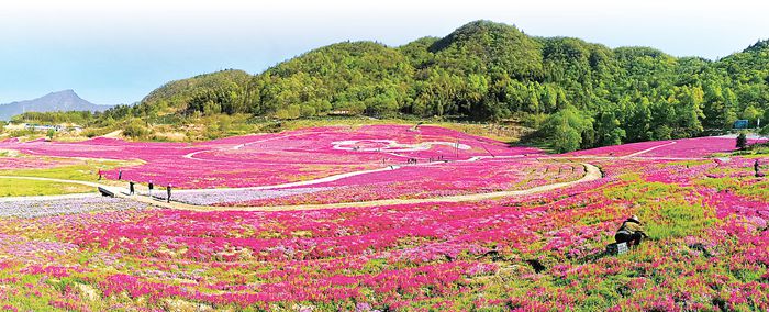 【奋进新征程 再创新辉煌】 六安：旅游成为亮丽名片