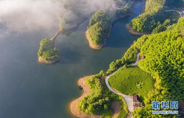 仲夏佛子岭 云游山水间 图片