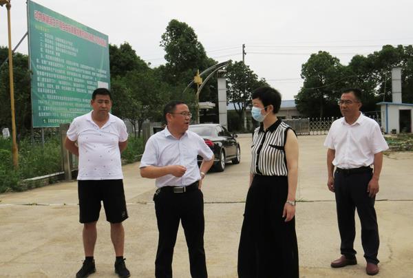 市一谷一带办赴霍邱开展督查指导