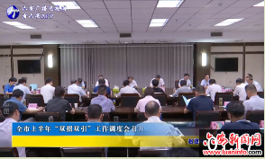 全市上半年“双招双引”工作调度会召开 