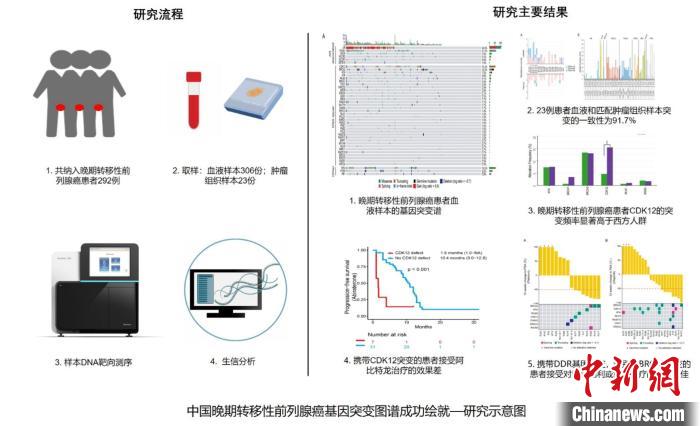 中国多中心大样本研究取得新成果：“一管血”破解国人前列腺癌基因突变“密码”