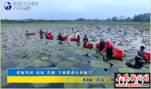 把握巩固拓展衔接全面推进乡村振兴 