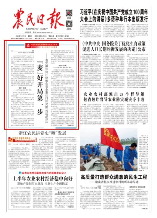 "麦"好开局第一步，看安徽如何扛稳粮食安全重任
