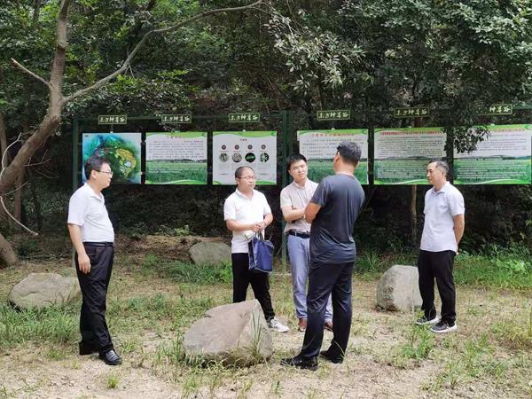 市一谷一带办赴霍山调研中药材种植情况