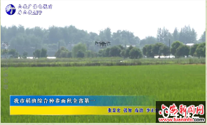 我市稻渔综合种养面积全省第一 