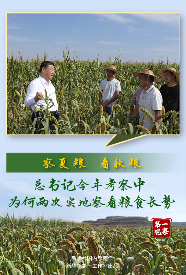 第一观察丨察夏粮、看秋粮，总书记今年考察中为何两次实地察看粮食长势