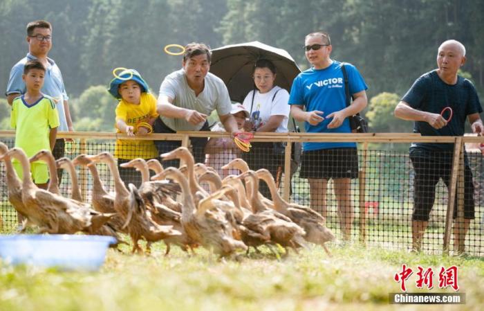 点击进入下一页