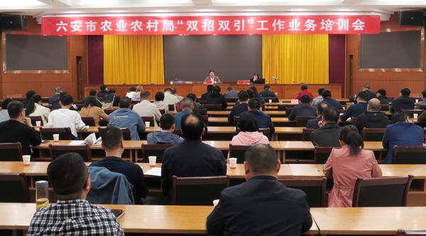 六安茶谷办积极参加“双招双引”工作业务培训