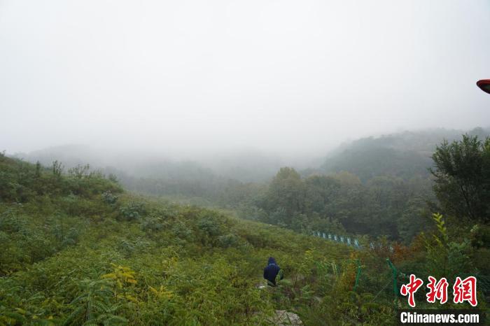 “十年磨一剑”黑色矸石山终闻花果香