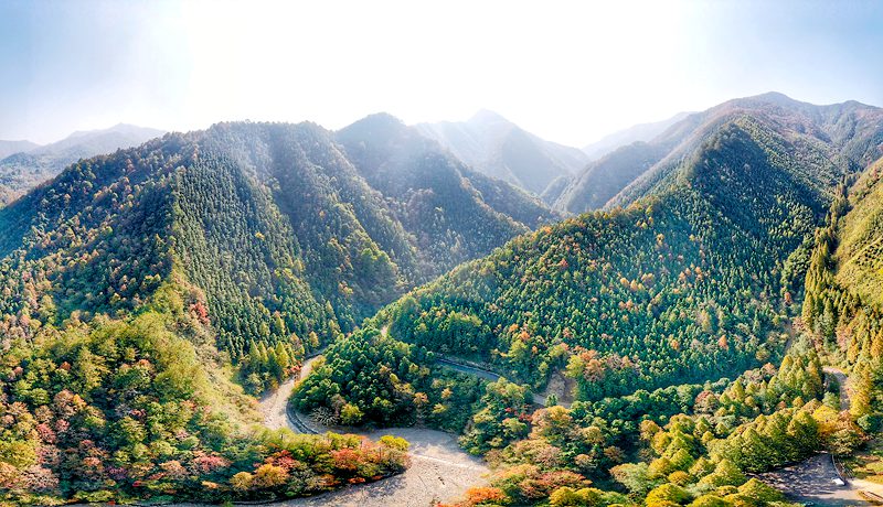 保护好山好水 厚植生态优势