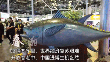 重磅微视频｜春涌进博会