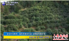 金安区毛岭村：绿色发展富乡亲文明新风润乡村