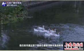 我市城区水环境综合治理见成效河道重现水清岸绿美景