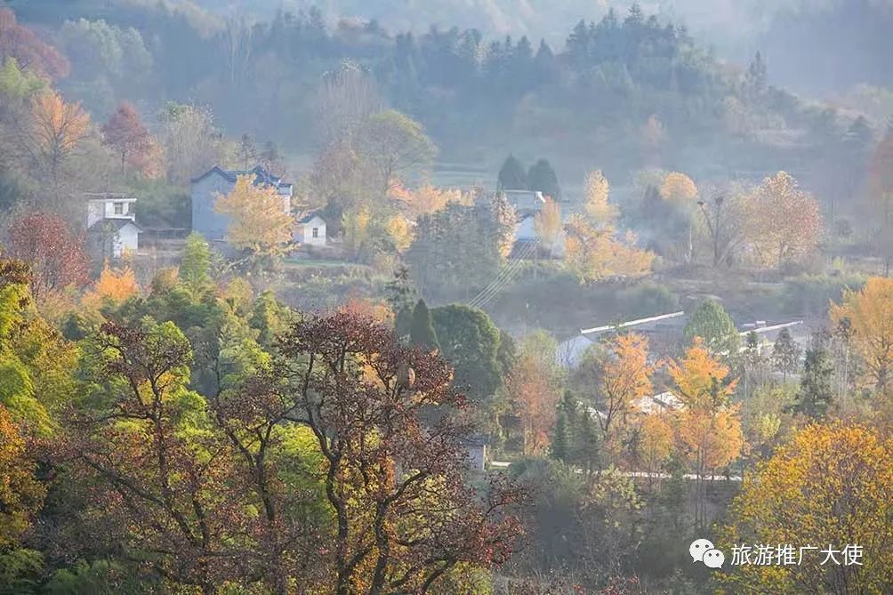 微信图片_20211203083344.jpg 图片