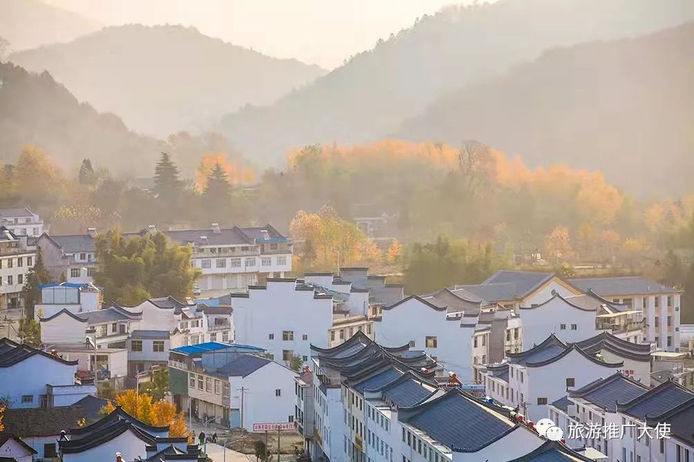 微信图片_20211203083507.jpg 图片