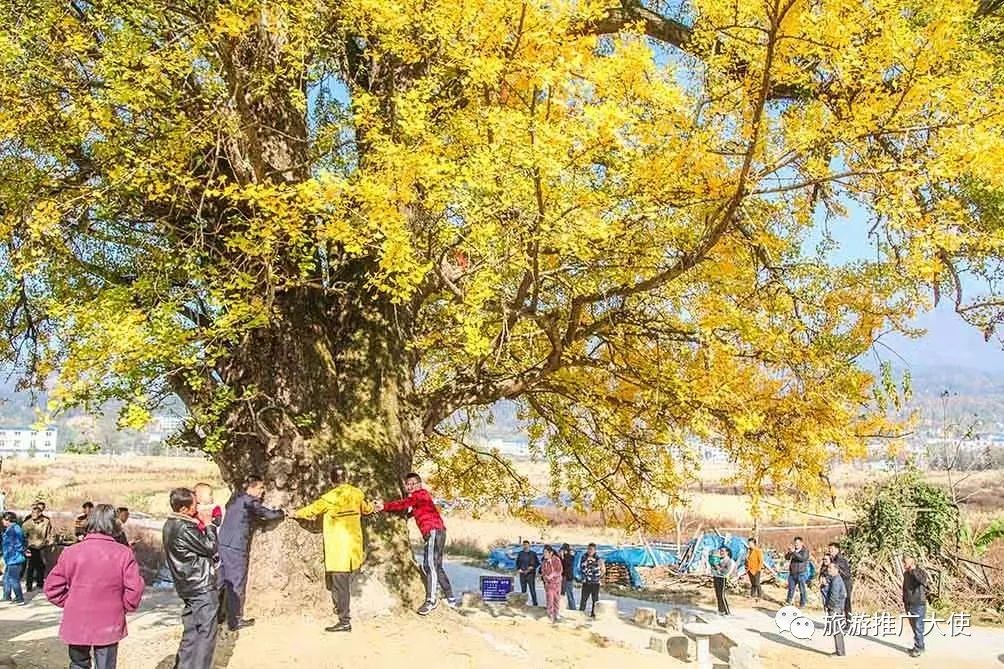 微信图片_20211203083500.jpg 图片