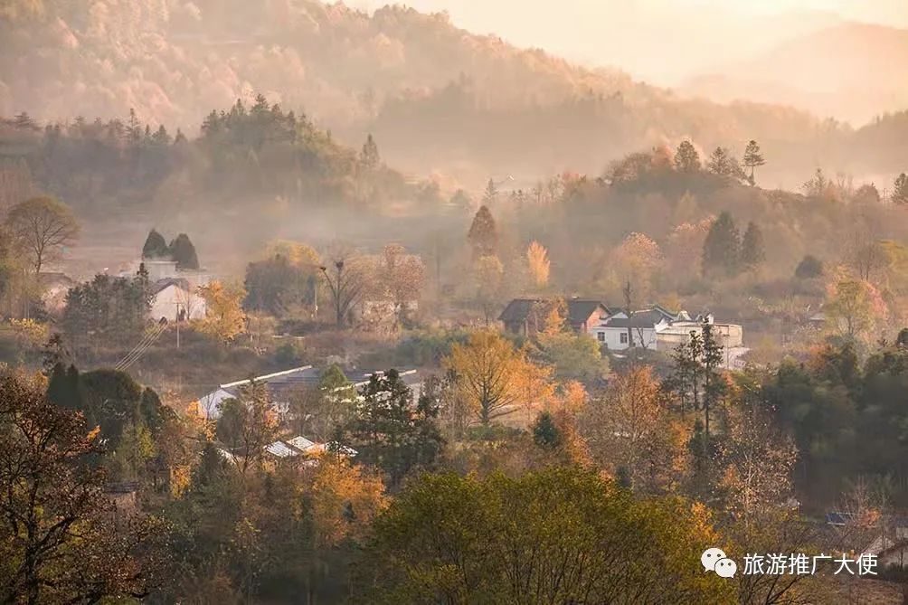 微信图片_20211203083352.jpg 图片