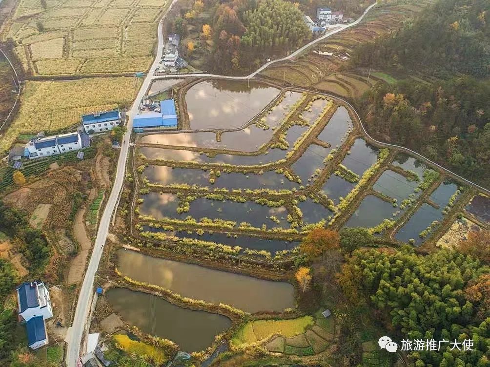 微信图片_20211203083411.jpg 图片