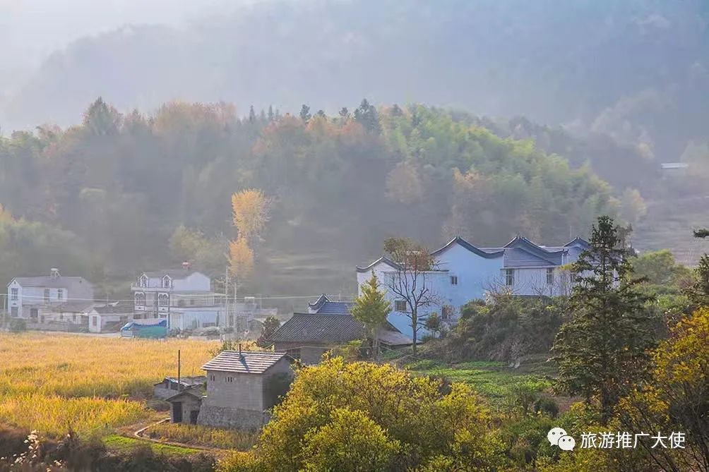 微信图片_20211203083521.jpg 图片