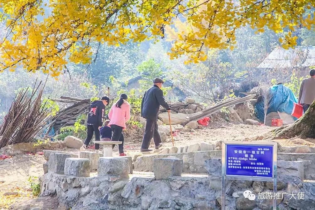 微信图片_20211203083514.jpg 图片