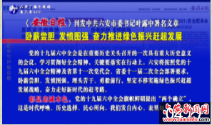 《安徽日报》刊发中共六安市委书记叶露中署名文章