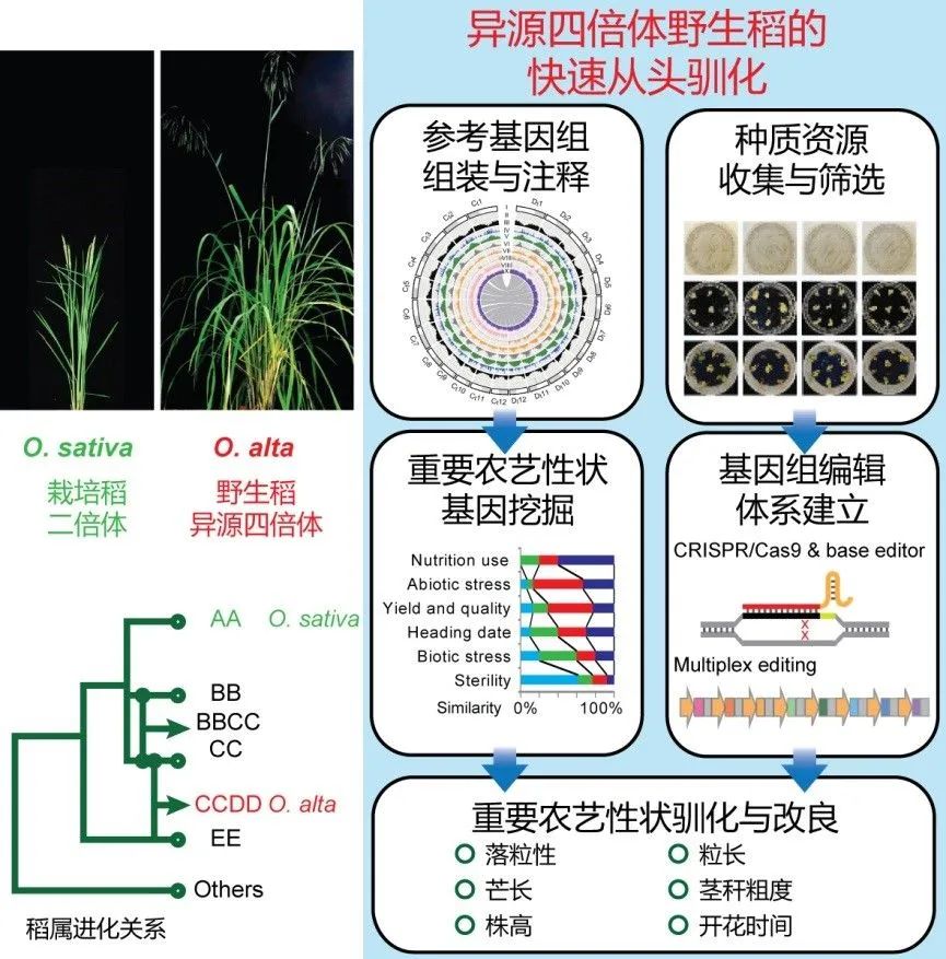 今年中国科技10项重要突破，4项在合肥！