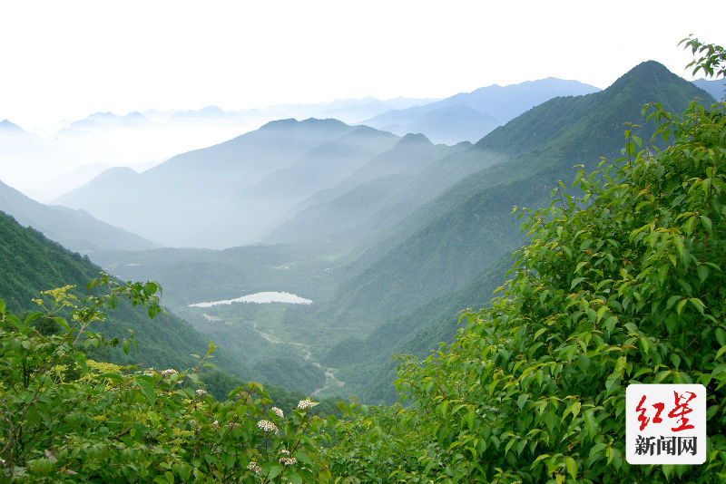 070705龙池岗拍猫t-shang0028