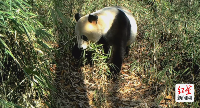 9303A9EF-28B4-410C-8DFD-5484AE22C0C1