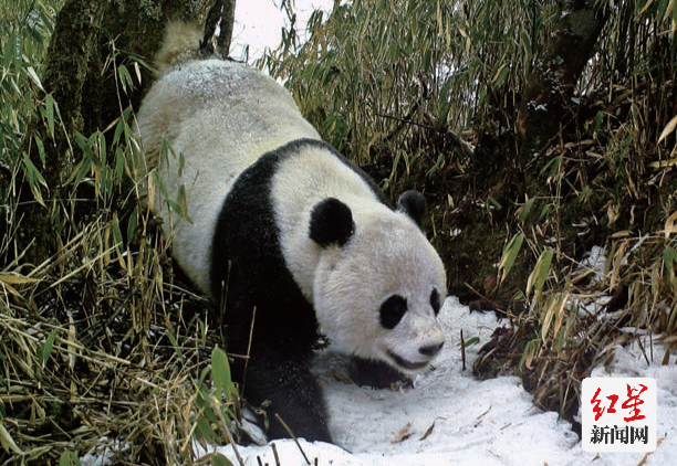 QQ图片20211221175317