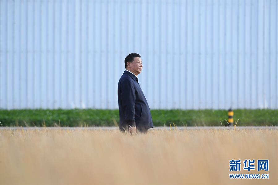 学习进行时丨谈到这个问题，习近平每句话都很重