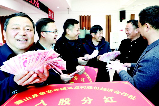 乡村资金“抱团” 集体经济“破茧” 