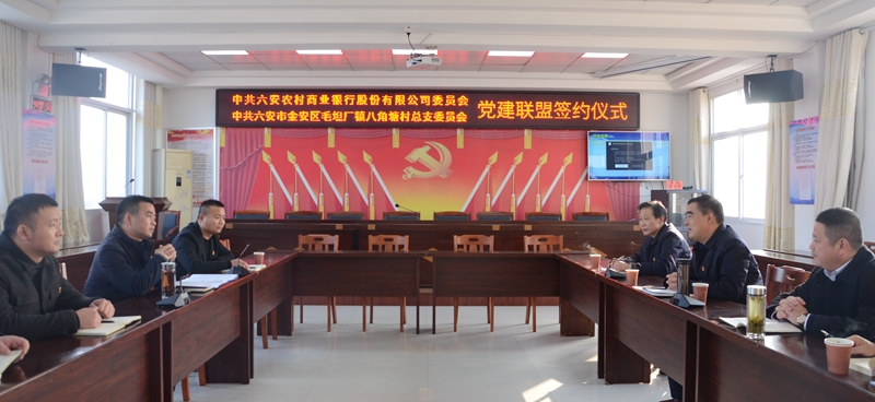 六安农商银行：党建联盟深化共建 乡村振兴共谋发展