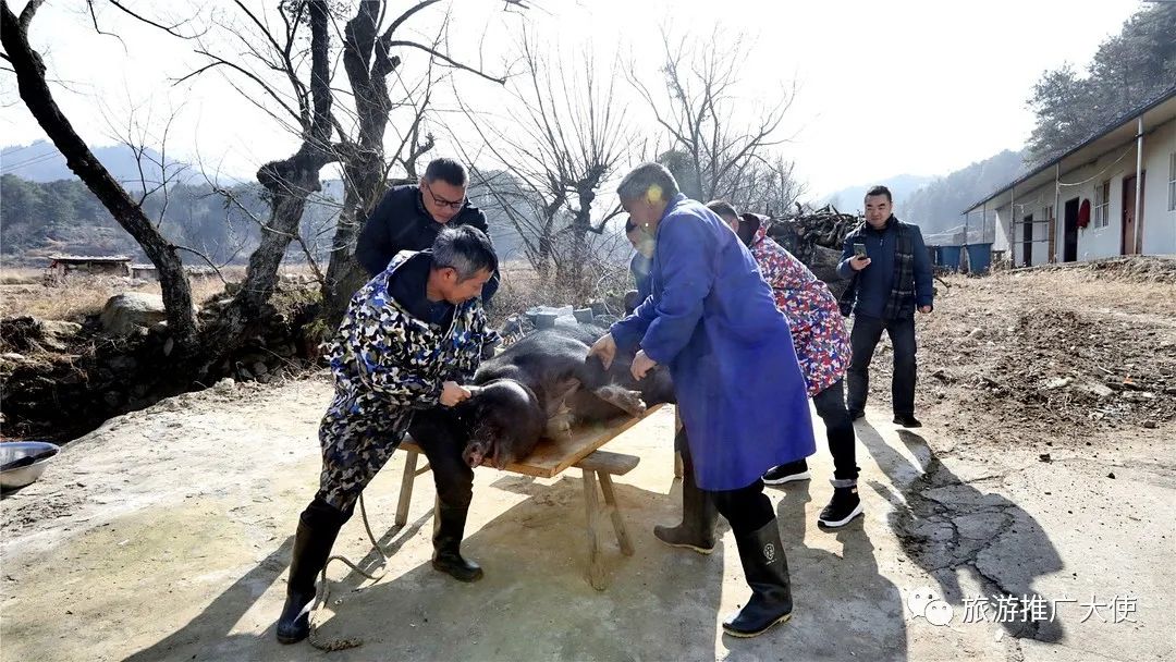 微信图片_20220114074111.jpg 图片