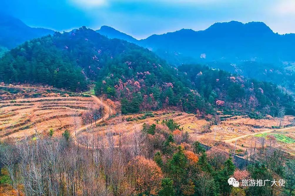 微信图片_20220114074013.jpg 图片