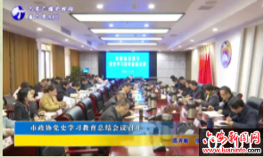 市政协党史学习教育总结会议召开