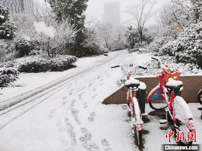 杭州城区道路产生积雪。　张雨滴 摄