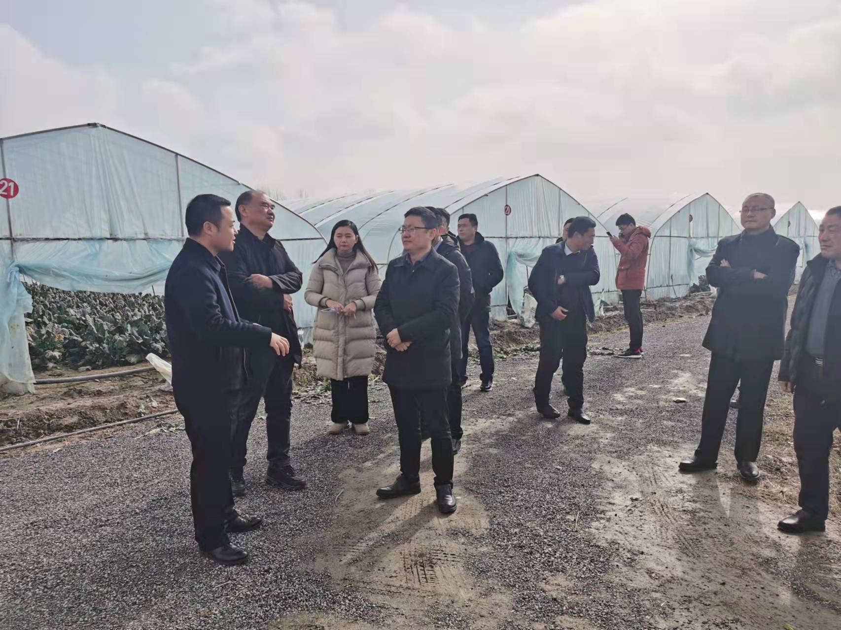 金安区东河口镇：拜师学艺长本领  对标先进转作风