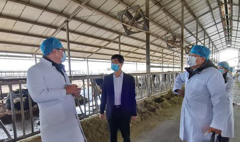 银川“三农”干部深入生产一线为农业“把脉问诊”