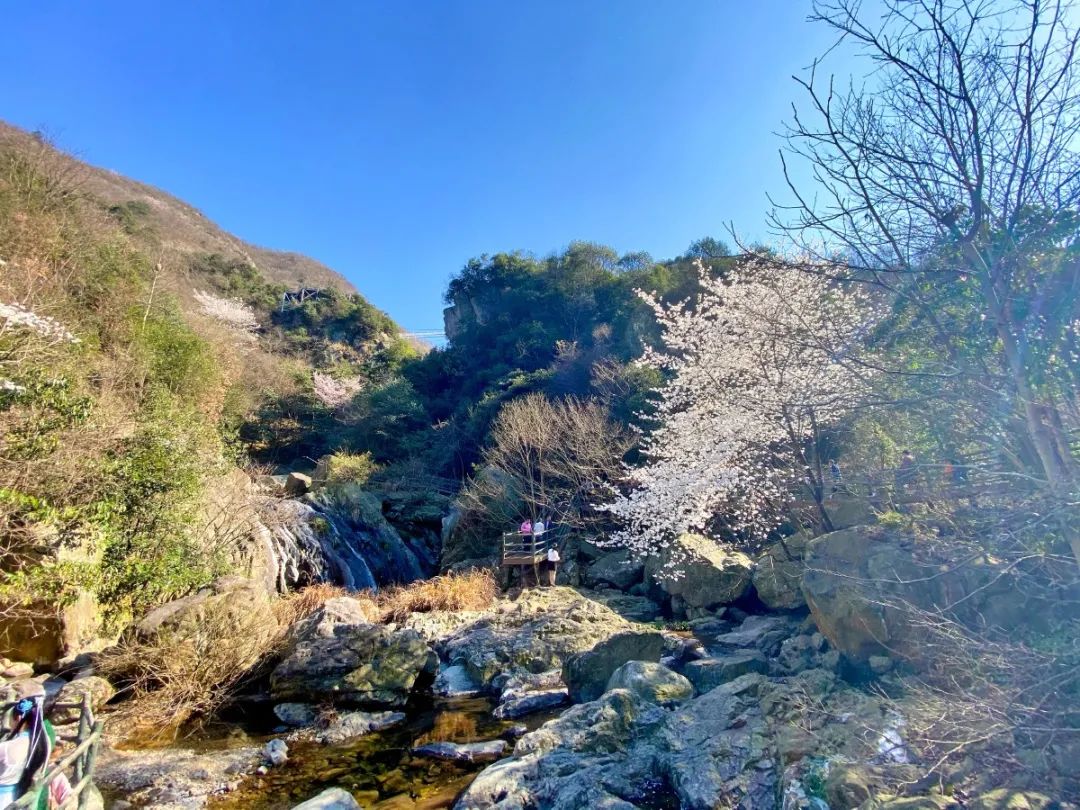 微信图片_202103021257192.jpg 图片