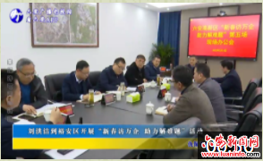 刘洪洁到裕安区开展“新春访万企 助力解难题”活动