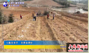 人勤春来早 春耕备耕忙