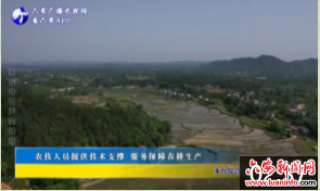 农技人员提供技术支撑 服务保障春耕生产