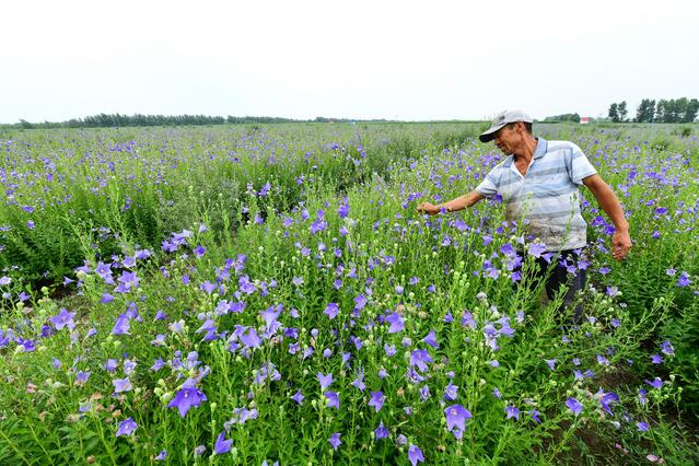 功在当代 利在千秋——写在第44个植树节来临之际