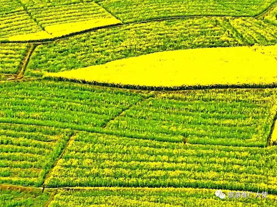 微信图片_20220317154941.jpg 图片